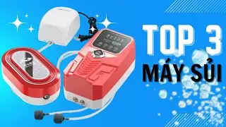 Top 3 những dòng máy sủi khí oxy bán cực chạy tại Cá Cảnh Thái Hoà