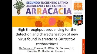 High throughput sequencing for the detection and characterization of new virus found in Arracacha