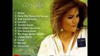 Nilüfer Sarıtaş- Yine Katarlanmışta