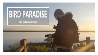 Slow Down With Me | Nature & Photography at Bolsa Chica