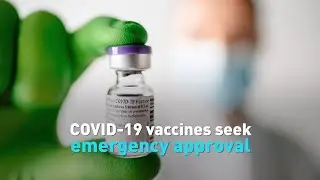 COVID-19 vaccines seek emergency approval