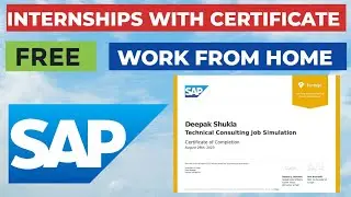 SAP Data Analyst Online Internship with Certificate | Learn SAP / DATA Tool | Technical Consulting