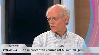Stefan Ingves om tiden som riksbankschef