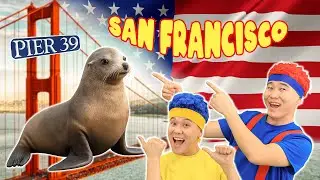 Exploring the World! Surprising San Francisco | D Billions Travels'