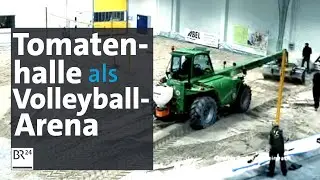 Beachvolleyball in Tomatenverpackungshalle: Countdown f&uuml;r TomatOpen