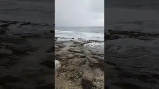 Palma de Mallorca
