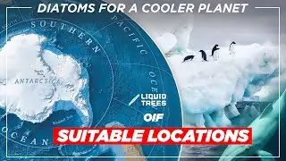 OIF suitable locations | Ocean Iron Fertilization | Liquid Trees #006
