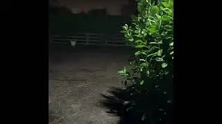&bull; Stable Solar Light &ndash; Before & After  