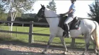 Posture awareness  & Alexander Technique for riders (4)