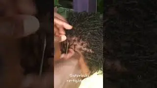sisterlocks retightening  and styling.  #trending #art #dreadjourney #sisterlocks #transformation