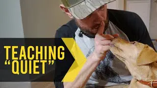 Teaching your dog 