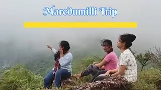 Maredumilli Forest Adventure 🌲 | Waterfalls, Food !@jashvavishal  #shorts | No Copyright music