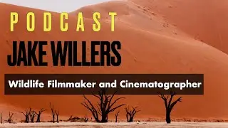 The Hidden Secrets of Pre-Production for Stunning Wildlife Films with Jake Willers