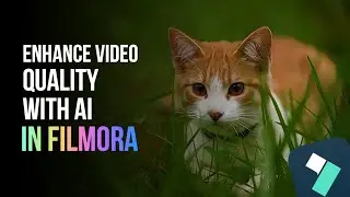 How To Enhance Video Quality With AI On Filmora 14