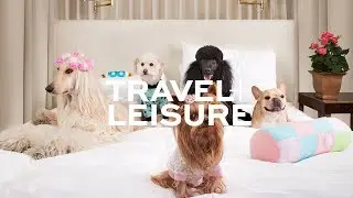 Behind-the-Scenes: Dog-Friendly Hotels | Travel + Leisure