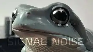 MicroFreakで即興自律演奏[N,P,C] SIGNAL NOISE (NO AI, NO SEQ,NO ARP)