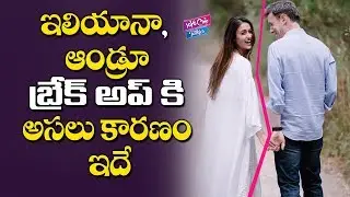 Reason Behind Ileana D'cruz With Her Boyfriend Andrew Kneebone Break Up | YOYO Cine Talkies