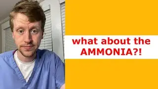 Should you check an AMMONIA level?
