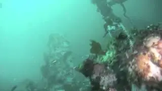 Yukon Dive