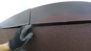 See How Bats Are Getting Into the Wall of Building