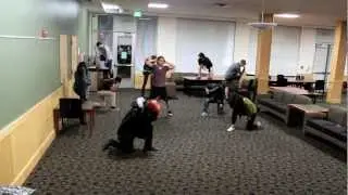 UC Davis Harlem Shake (Tebow Edition)