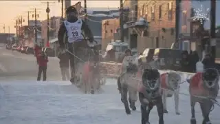 Mushers seek alternatives after Idaho Sled Dog Challenge cancels races amid low snow levels