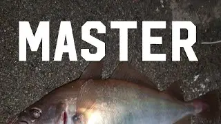 Fishing On lure opposite Vale Castle for bass and longnose!