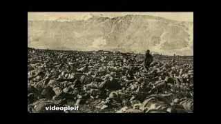 AVIANO STELLE ALPINE A GIAIS