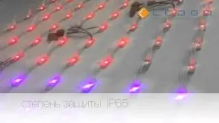 светодиодные модули SMART Like от LEDGO