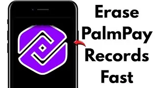 How to Delete Transaction History on PalmPay 2026 | Complete Step-by-Step Guide