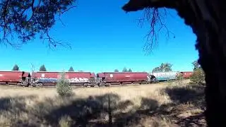 G519 and 44220 on northound SSR wheat train Turrawan