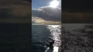 Trolling for fish Lake Huron