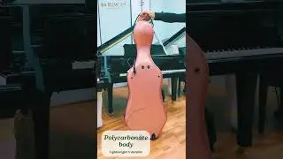 Strong, Stylish, Secure &ndash; Anderson Cello Cases