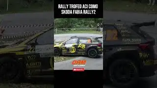 Skoda fabia rally2 - MISTAKE!! #rally2 #skodafabia #fabiarally2 #rallymistake #crash #wrc