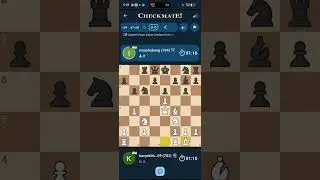 Play chess with me 💪
