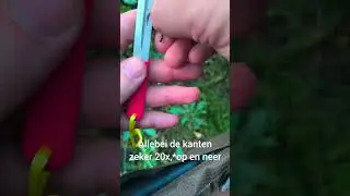 ZELF Meer karpers vangen door scherpe haak #karpervissen #karper #carpfishing