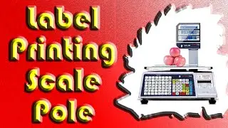 Label Printing Scale Pole Display | Multiple Barcode Formats