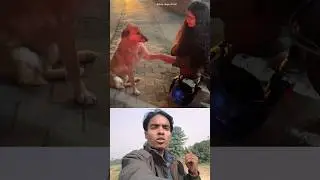 Girls and dog friendship 😎❤️ Sigma rule | inspirational quotes | motivational #shorts #motivational