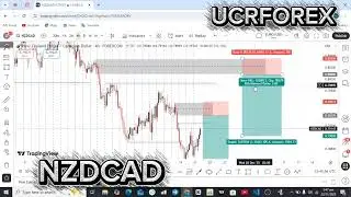 MORE WEEKLY SIGNALS ON EURUSD, NZDCAD ,GOLD, & AUDCHF (SECTION 2)
