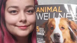 Cancer Prevention For Dogs