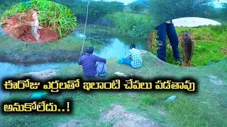 #fishing ఈరోజు ఎర్రలతో ఇలాంటి చాపలు పడతాయని అనుకోలేదు..!