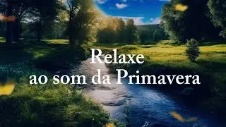 Som de Riacho em Dia ensolarado com Natureza animal. (Ambiente Relaxante)