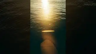 Relaxing meditation music with different mindfulness approach