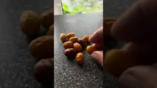 Финиковая пальма! Косточки можно посадить!