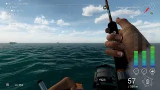 Fishing Planet - Maldives - Trophy Striped Marlin