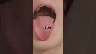 20 Mind Blowing Body Facts!