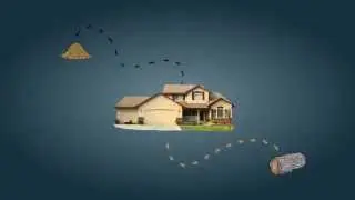 Wood Destroying Pests