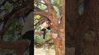 Birds ke liye Pani rakh diya 😍 | Save birds 🐦