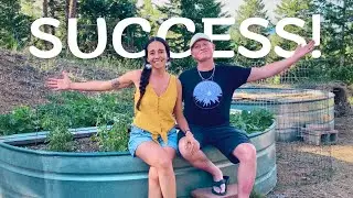 Couple Build Gardens for the First Time (No Previous Experience)!