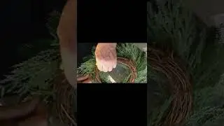 2 Types of Pine Grapevine Wreath